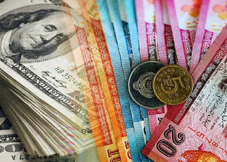 திடீரென உயர்ந்த டொலரின் பெறுமதி! 24 மணிநேரத்தில் கடும் வீழ்ச்சியை சந்தித்த இலங்கை ரூபா