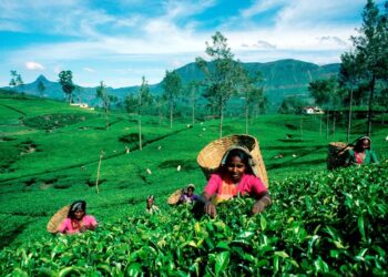 மலையக மக்கள் எதிர்கொண்டுவரும் பிரச்சினைகள் தொடர்பில் விவாதம் நடத்த தயார் -ரமேஷ் பத்திரண