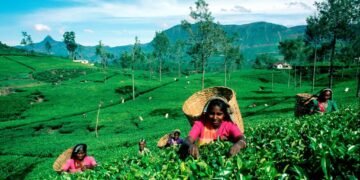 மலையக மக்கள் எதிர்கொண்டுவரும் பிரச்சினைகள் தொடர்பில் விவாதம் நடத்த தயார் -ரமேஷ் பத்திரண