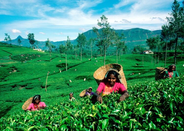 மலையக மக்கள் எதிர்கொண்டுவரும் பிரச்சினைகள் தொடர்பில் விவாதம் நடத்த தயார் -ரமேஷ் பத்திரண