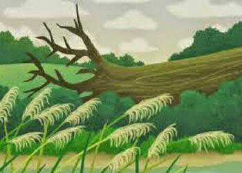 வேடிக்கையான அரசன்..