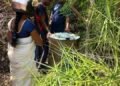 துணிவுடன் இறங்கிய பெண் கிராம சேவையாளர்
