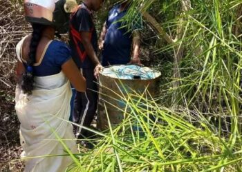 துணிவுடன் இறங்கிய பெண் கிராம சேவையாளர்