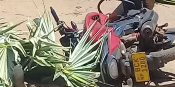 மன்னாரில் இரட்டை கொலை…துப்பாக்கிச்சூடு…பழிக்கு பழி…