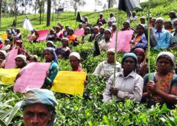 1948: இந்திய வம்சாவளித் தமிழர்களின் குடியுரிமை சிங்கள பாராளுமன்றத்தால் பறிக்கப்பட்ட நாள் இன்று …