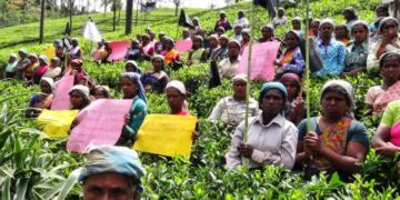 1948: இந்திய வம்சாவளித் தமிழர்களின் குடியுரிமை சிங்கள பாராளுமன்றத்தால் பறிக்கப்பட்ட நாள் இன்று …