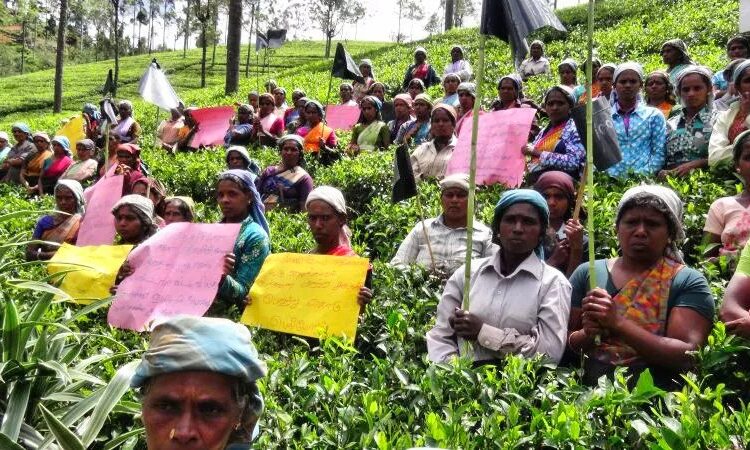1948: இந்திய வம்சாவளித் தமிழர்களின் குடியுரிமை சிங்கள பாராளுமன்றத்தால் பறிக்கப்பட்ட நாள் இன்று …