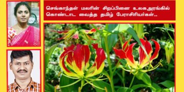 தமிழீழத்தில் செங்காந்தள் மலரின் சிறப்பும்- நவீன மருத்துவத்தில் புற்று நோயை குணப்படுத்தும் காந்தள் மலரின் அற்புதமும்…