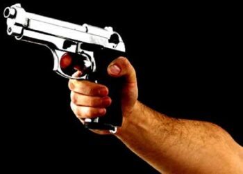 புலிகளுடன் தொடர்புடைய  நிழல்  உலக தாதாக்களை கைது செய்து நாட்டுக்கு கொண்டு வர நடவடிக்கை …