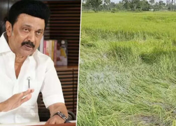 இயற்கை இழப்பீடு ரூ.560 கோடி…… முதலமைச்சர் மு.க.ஸ்டாலின்அறிவிப்பு …