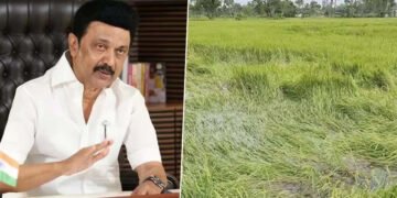 இயற்கை இழப்பீடு ரூ.560 கோடி…… முதலமைச்சர் மு.க.ஸ்டாலின்அறிவிப்பு …