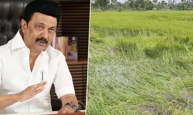 இயற்கை இழப்பீடு ரூ.560 கோடி…… முதலமைச்சர் மு.க.ஸ்டாலின்அறிவிப்பு …