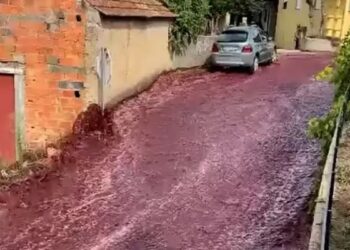 அதிர்ச்சியில் போர்த்துக்கல் மக்கள்.!