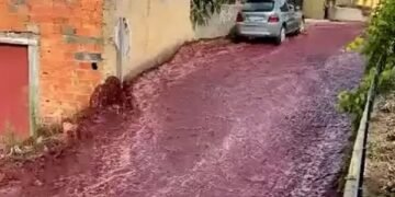 அதிர்ச்சியில் போர்த்துக்கல் மக்கள்.!