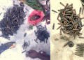 அம்பாறையில் ஆயுதங்கள் மீட்பு; தொடர் விசாரனை..