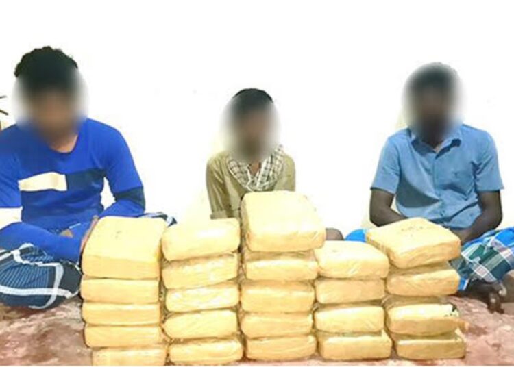 கேரளா கஞ்சாவுடன் மூவர் கைது