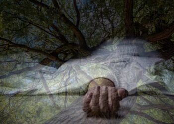 யாழ்ப்பாணம் நெடுந்தீவில் பாசாங்கு செய்தவர் மரக்கிளை முறிந்து விழுந்தது உயிரிழப்பு!