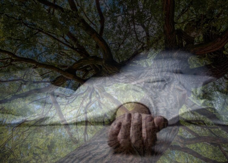 யாழ்ப்பாணம் நெடுந்தீவில் பாசாங்கு செய்தவர் மரக்கிளை முறிந்து விழுந்தது உயிரிழப்பு!