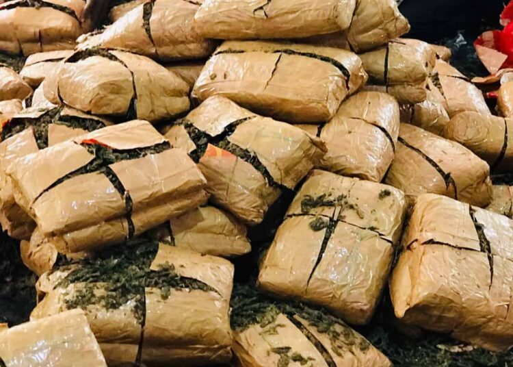 3 கோடி ரூபாய் மதிப்புள்ள கஞ்சா யாழ்ப்பாணத்தில் மீட்கப்பட்டுள்ளது.!