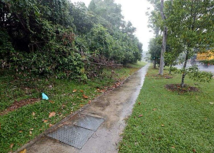 பெண்ணைச் சீரழித்த இந்தியர்க்கு 16 ஆண்டுச் சிறை, 12 பிரம்படிகளும் சிங்கப்பூர் நீதிமன்றம் .