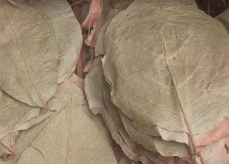 கடலில் மிதந்து வந்த பீடி இலைகள் மீட்பு.!