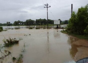 கிழக்கு மாகணத்தில் தொடர் மழை குளங்களின் வான் காதவுகள் திறப்பு.!