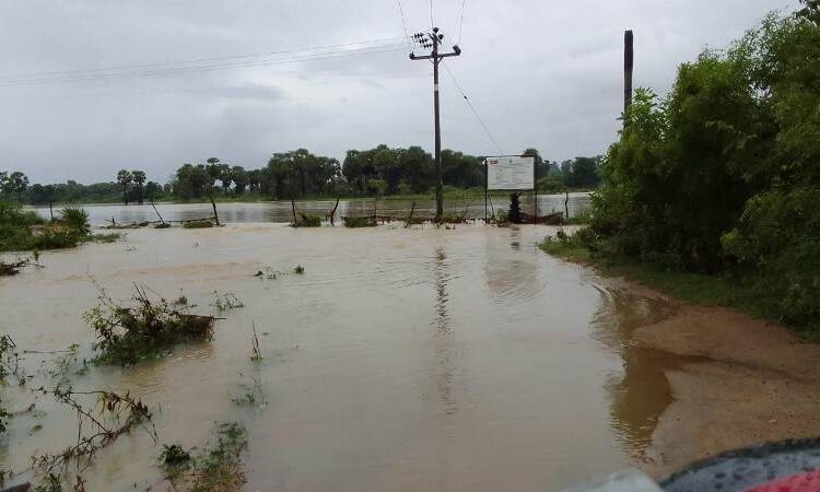 கிழக்கு மாகணத்தில் தொடர் மழை குளங்களின் வான் காதவுகள் திறப்பு.!