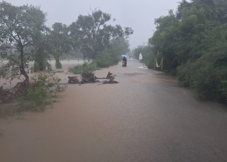 கன மழை குளங்களின் வான் கதவுகள் திறப்பு!