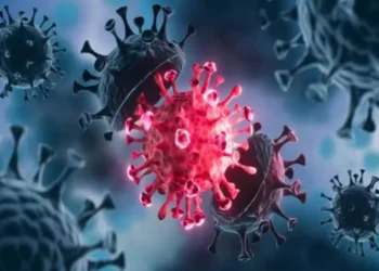 யாழில் கொரோனாவுக்கு பெண் மரணம்!