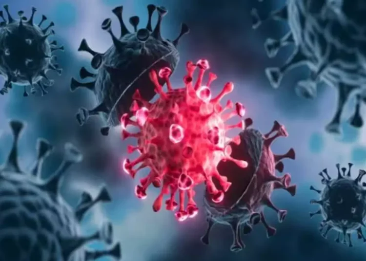 யாழில் கொரோனாவுக்கு பெண் மரணம்!