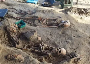 இலங்கை மனித உரிமைகள் ஆணைக்குழு செம்மணி மனித புதைகுழி பிரதேசத்தை பார்வையிட தீர்மானம்.