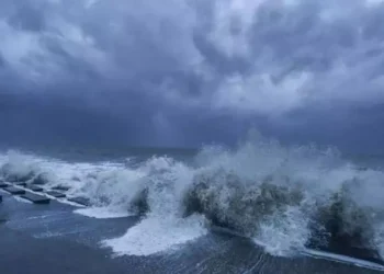 “டிட்வா”புயல்பற்றி இந்திய எக்ஸ்பிரஸ் நிறுவனம் திரிபுப்படுத்தப்பட்ட செய்தியை வெளியிட்டுள்ளது நளிந்த ஜயதிஸ்ஸ குற்றச்சாட்டு.